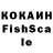 Канабис сатива Froggy Highrise