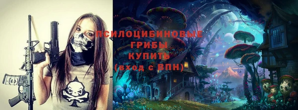 гашик Абаза