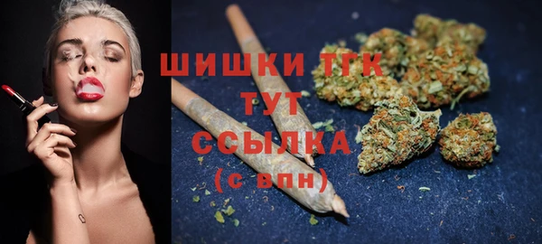индика Абинск