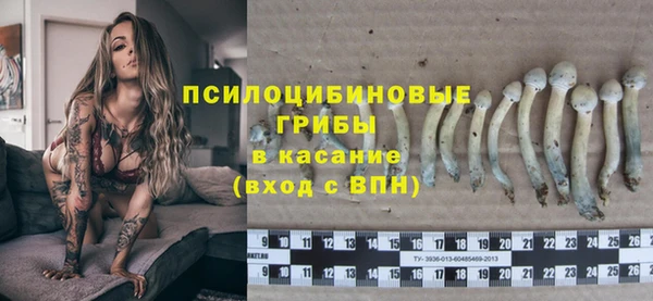 индика Абинск