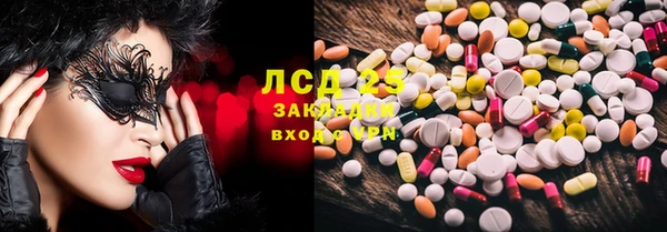 индика Абинск