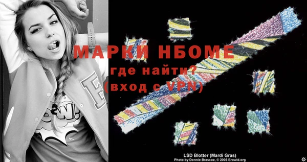 индика Абинск